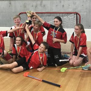 Floorball NSW Series Floorball NSW Series