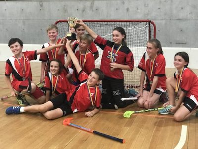 Floorball NSW Series Floorball NSW Series